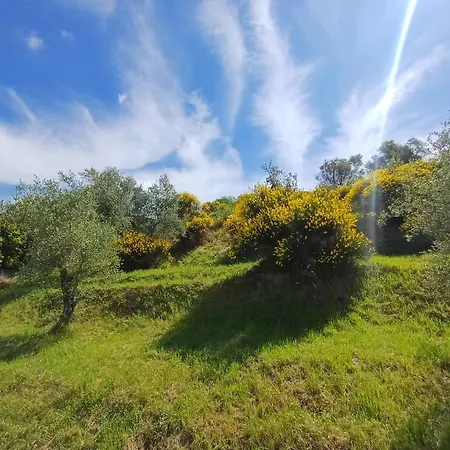 Sea View & Private Pool - Colline Del Sole Sp