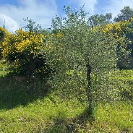 Sea View & Private Pool - Colline Del Sole Sp Villa *